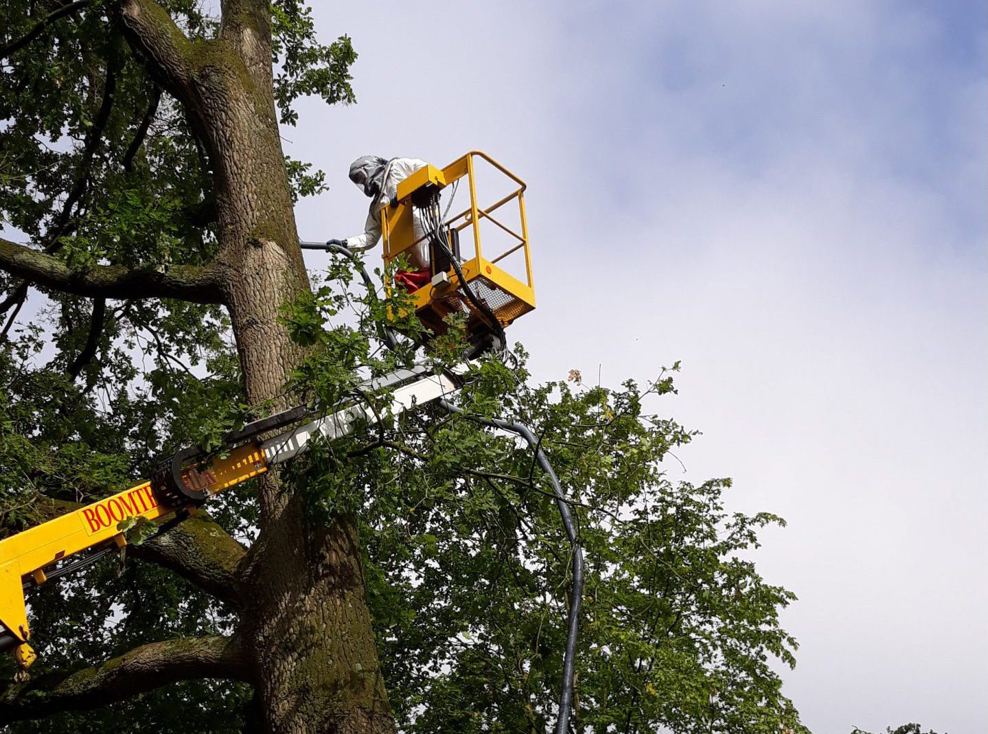 Rupsen zuigen met hoogwerker